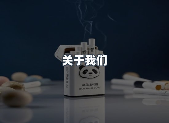 专业团队